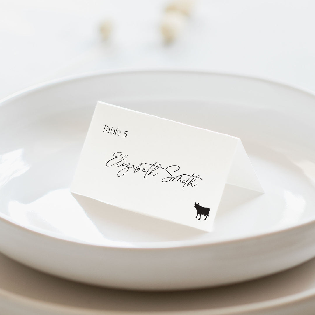 Bohemian Luxe Place Cards