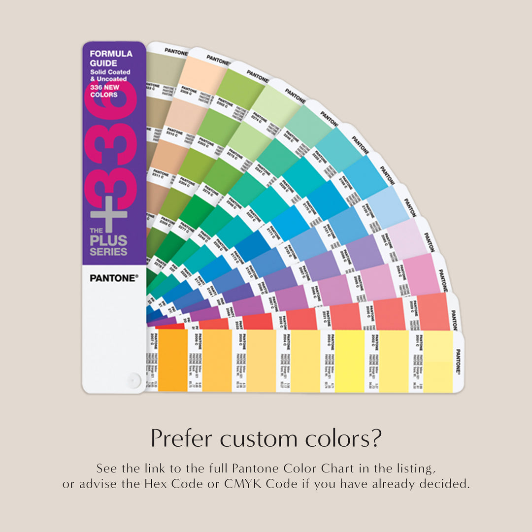 Contemporary Chic Infographic Program